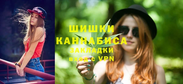 крисы Вязьма