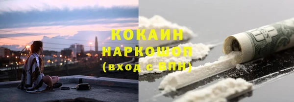 крисы Вязьма
