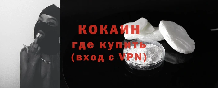 крисы Вязьма