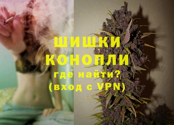 крисы Вязьма