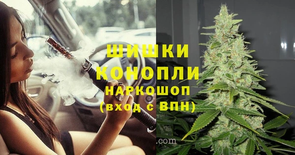 крисы Вязьма