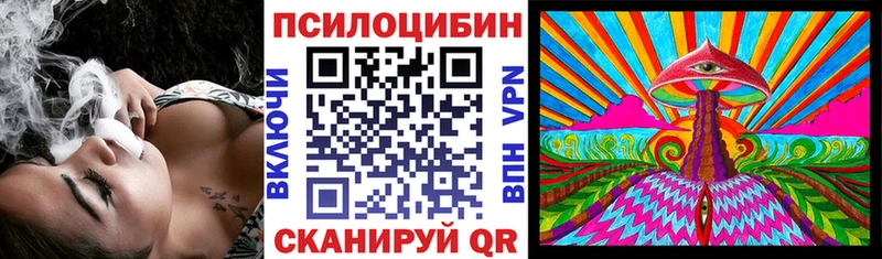 Купить где  Бобров  Псилоцибиновые грибы ЛСД 